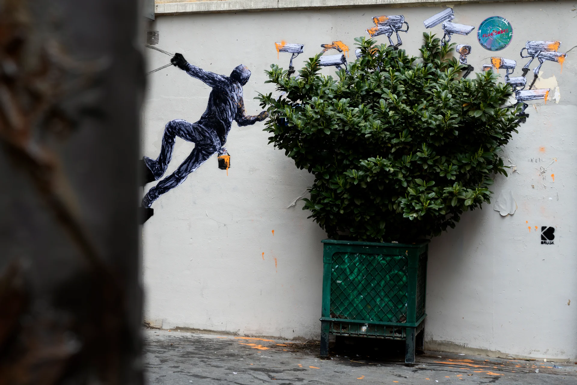 Brusk | Donkishot | Jeux d'orange